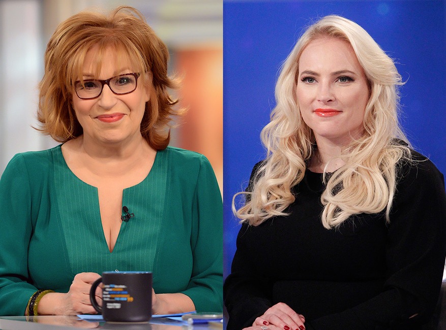 Joy Behar, Meghan McCain, The View showdown